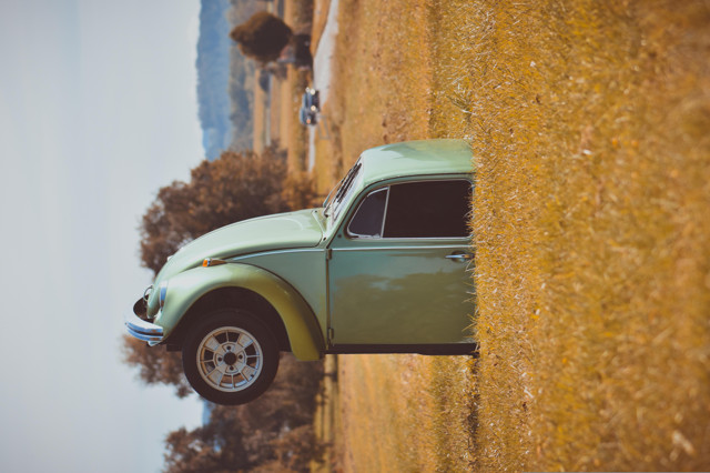 The front half of a classic Volkswagen Beetle from around the 1980s lies upright on grass, with the headlights pointed toward the sky and the the photo taken sideways, creating a disorienting scene